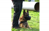 K slovu sa dostal aj policajný pes s ukážkou zákroku na páchateľa<br/>Autor: Ján Šimko