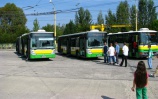 Autobusová "flotila"<br/>Autor: Ján Šimko