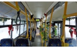 Vianočný trolejbus Škoda 30Tr<br/>DPMŽ