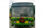Vianočný trolejbus DPMŽ<br/>DPMŽ